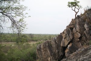 Scenery from Bushman Paintings