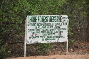 Chobe Forest Reserve