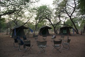 Chobe River camp