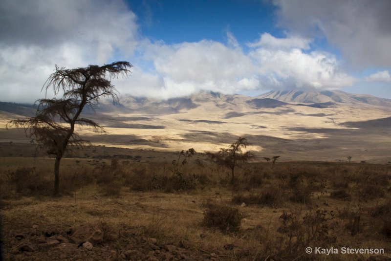 Views Across Serengeti Plain