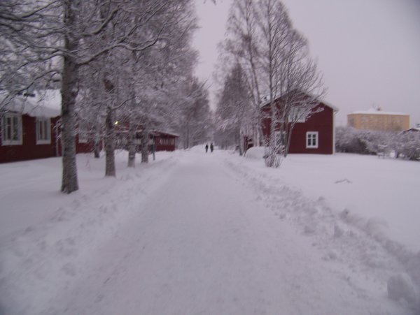 Snowy Sweden 1