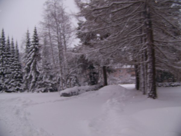 Snowy Sweden 2