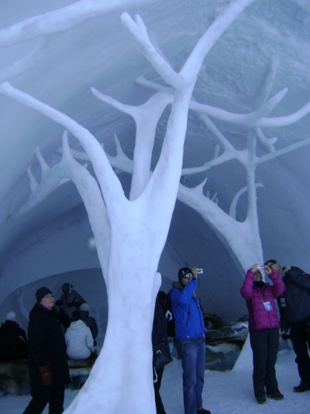 Ice Trees