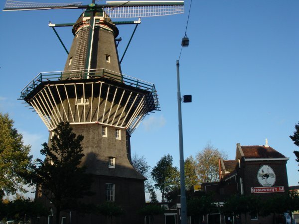 The windmill microbrewery