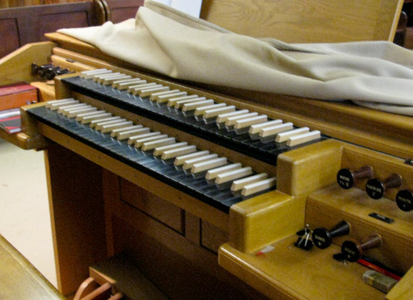 Unusual Organ
