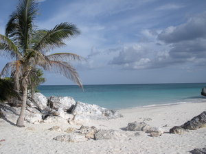 A Caribbean view...