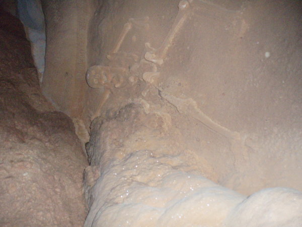 Remains inside cave