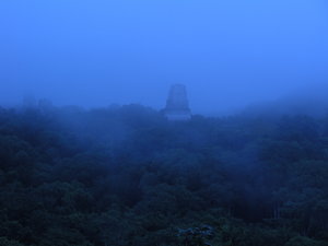 Tikal at Daybreak