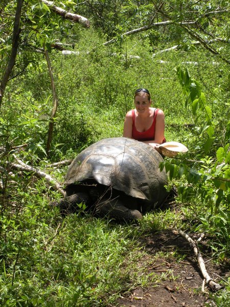 Me and a huge tortoise.