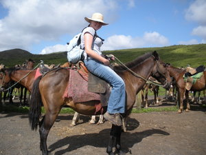 Horse riding up to the craters on Isabela island