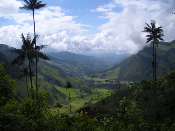 Cauca Valley