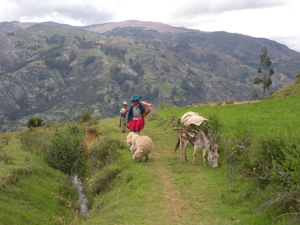 Around Huaraz, on our way to the thermal baths