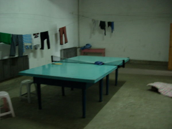 Table Tennis Table!
