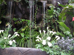 Waterfall Gardens