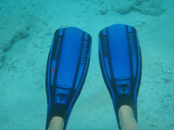 My flippers =)
