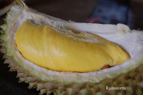 Durian - king of fruits