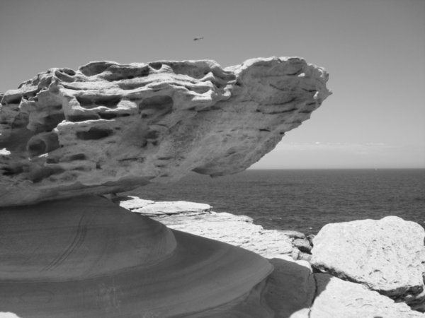 Coogee - Bondi cliff walk