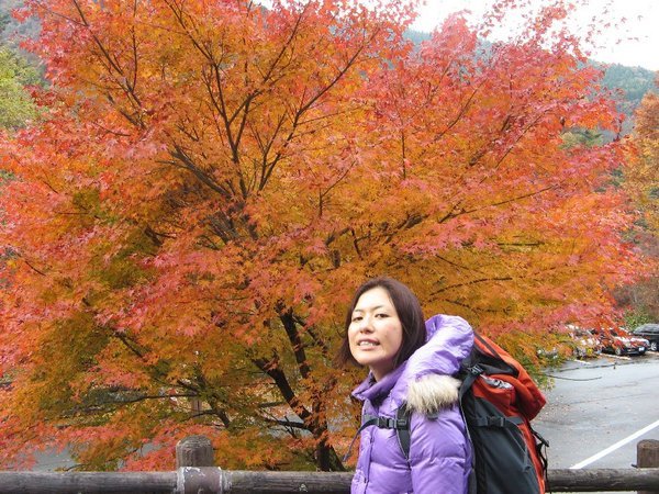 Yuki with maple tree