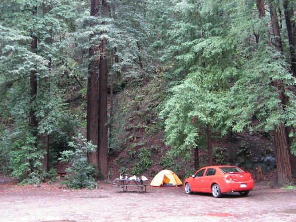 Camping at Big Sur between nice and tall redwood trees