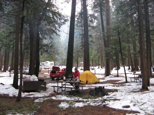 Our camp site with beautiful redwood trees and snow