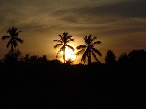 A tropical sunset 