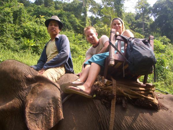 On an elephant!