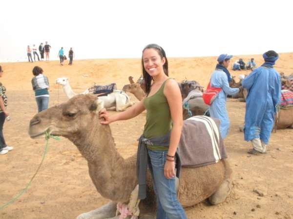 Abu the Camel