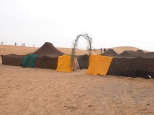 Desert Dorms