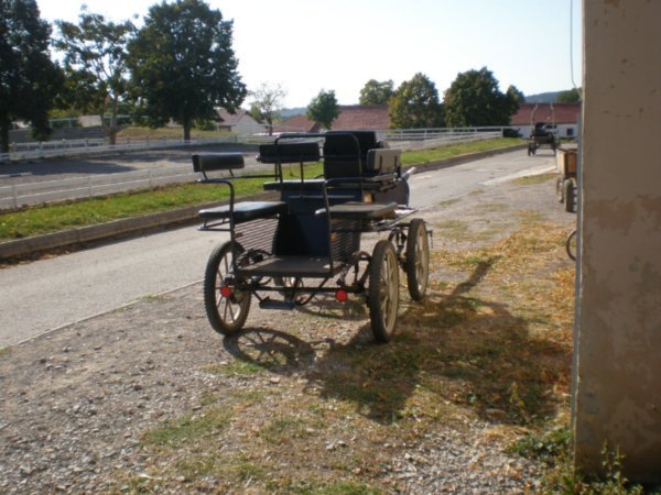 Lipica Carriage
