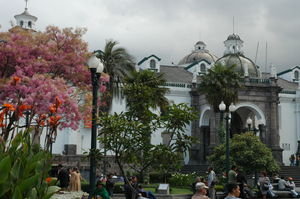 Colonial centre - Quito