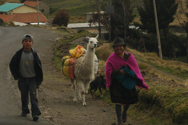Local Andean people