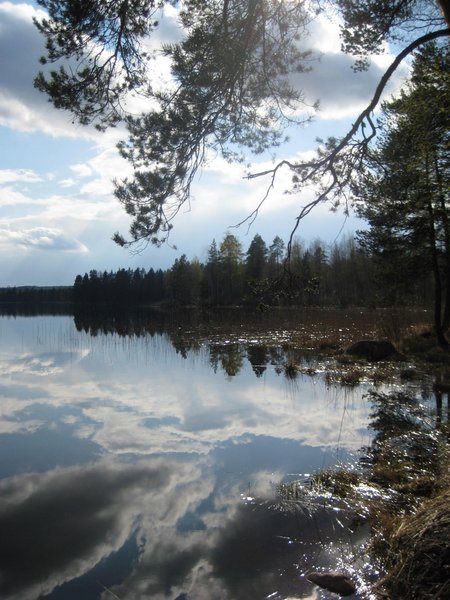 Pirttijärvi in spring 2008