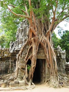 This temple was also beyond the central area of Angkor