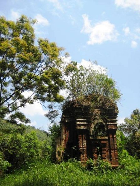 Vegetation - covered temple