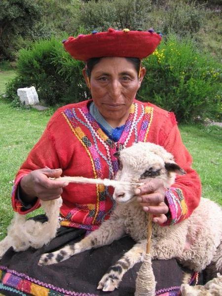 Quechua Weaver with sheep