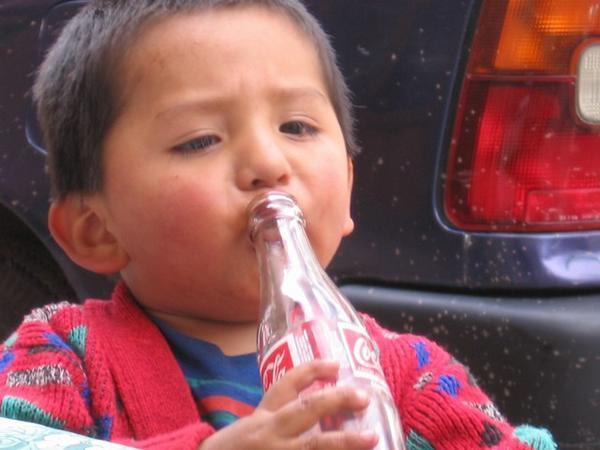 Quechua Boy