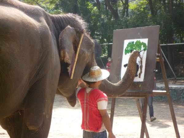 Yes elephants can really paint - incredible