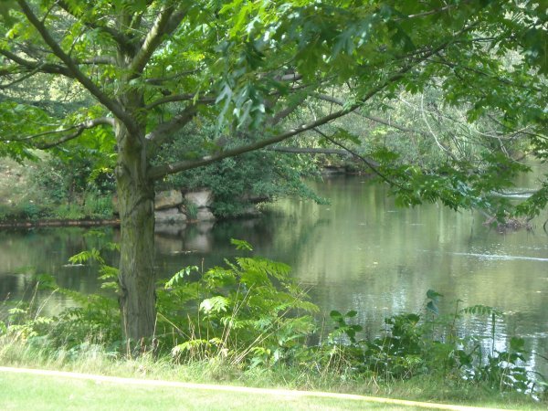 palace garden