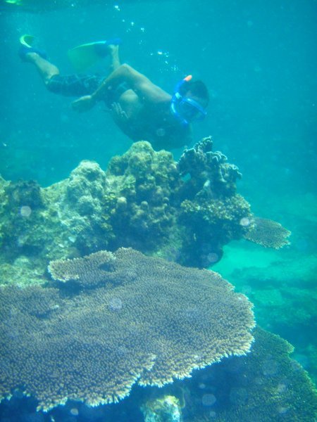 jake coral