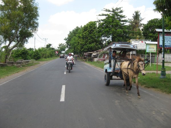 horse in traffic, Lombok
