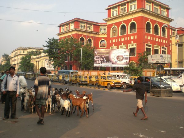 Kilit menevat toiseen suuntaan ja autot toiseen, uudet ja vanhat perinteet elavat rinnakkain Kolkatassa