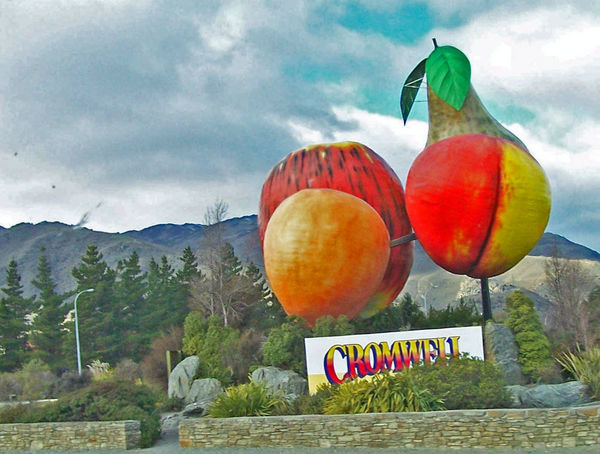 Cromwell Fruit