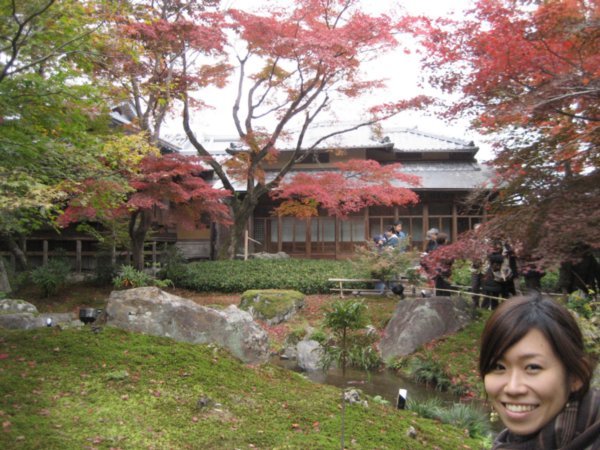 En japansk trädgård