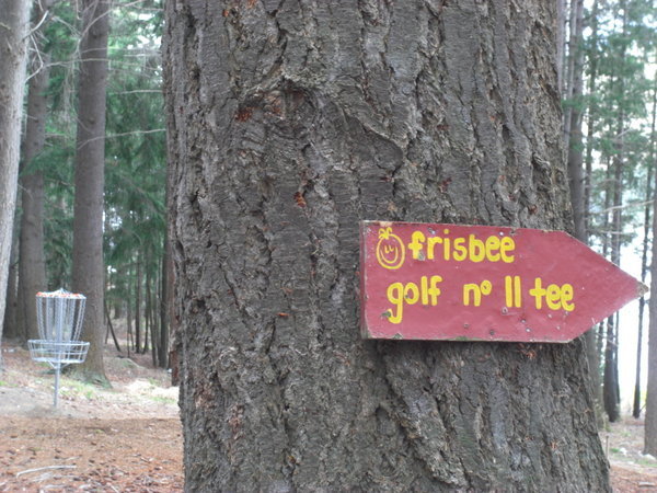 Frisbee Golf