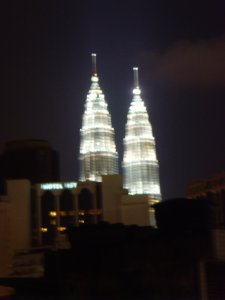 The Petronas Towers (by night)