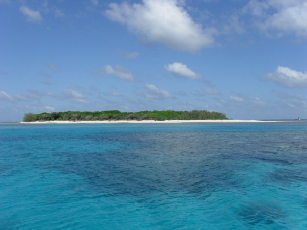 Lady Musgrave Island, Great Barrier Reef