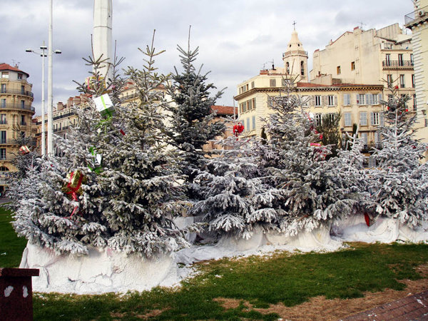 Christmas Trees at Vieux Port