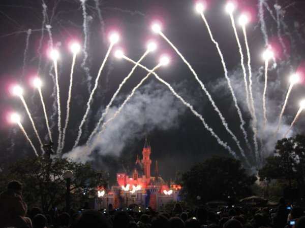 The fireworks over the 'magic' kingdom