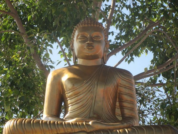 Golden Buddha in Lambini