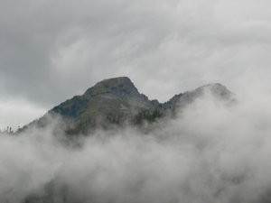 Around Mt Rainier1